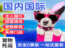淮安涟水机场物流国际宠物托运 【国